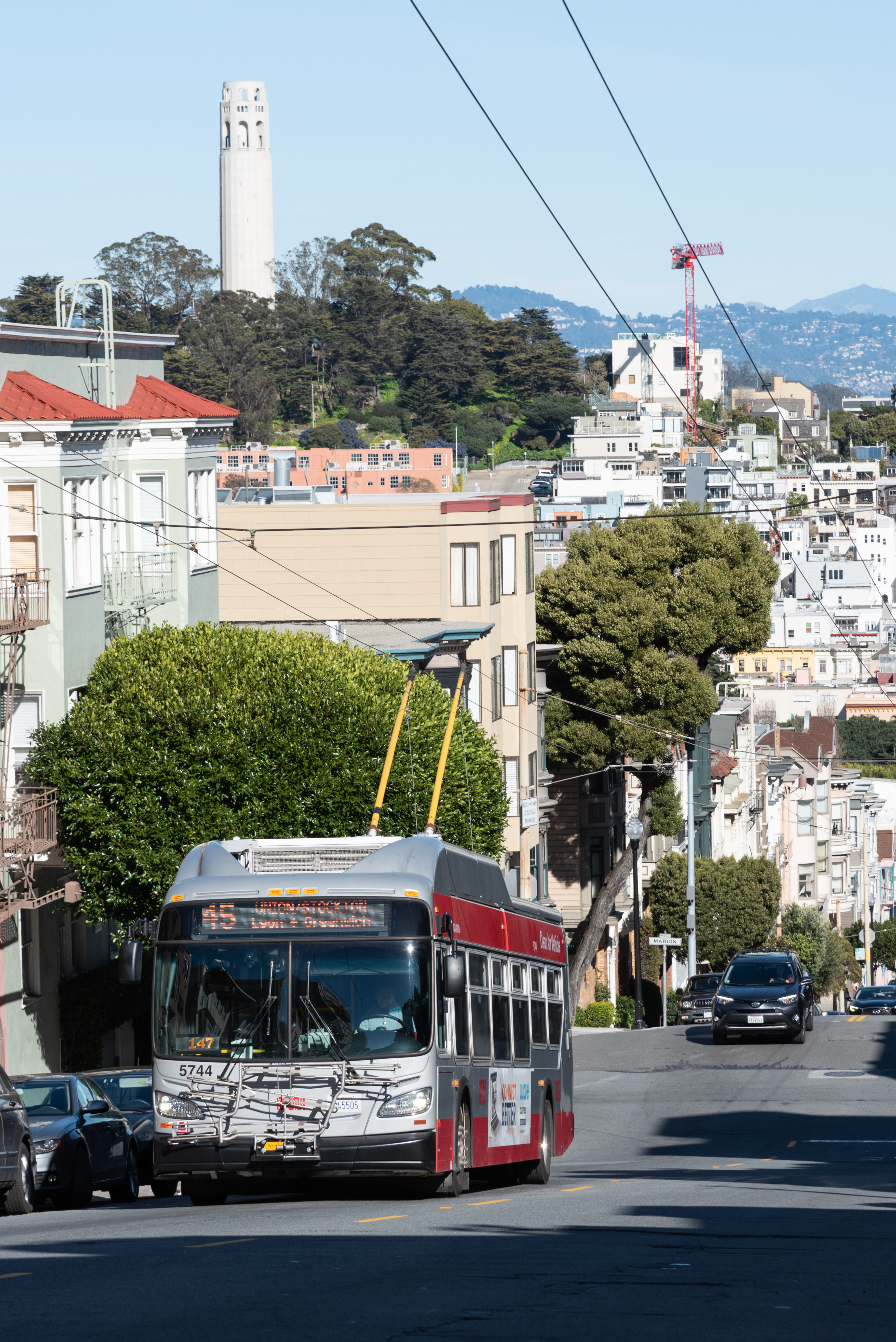 Muni Bus